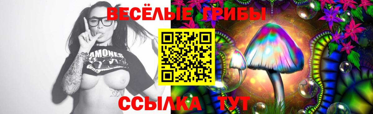 Галлюциногенные грибы Cubensis  Вход с VPN  Стрежевой 